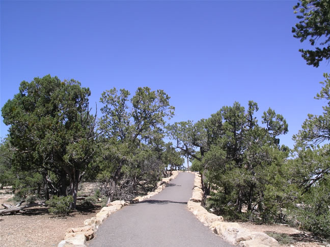 images/B-Mather Point Canyon View (2).jpg